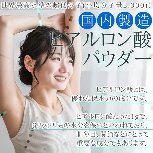 ヘルシーカンパニー 平均分子量約2000の超低分子 ヒアルロン酸 10000mg