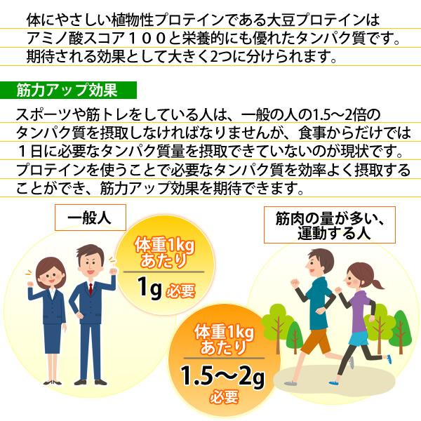 ヘルシーカンパニー 大豆プロテイン ソイプロテイン100% 1kg ヘルシーカンパニー 大豆プロテイン ソイプロテイン100% 1kg