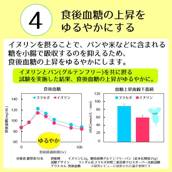 機能性表示食品 イヌリン 500g 水溶性食物繊維 メール便 送料無料 お通じ改善 腸内フローラ改良 整腸作用 中性脂肪対策 血糖値対策に！