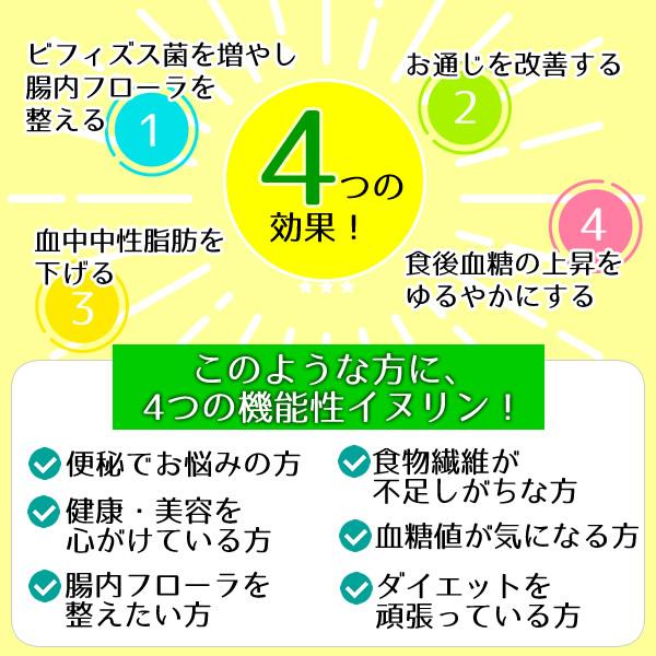 機能性表示食品 イヌリン 500g 水溶性食物繊維 メール便 送料無料 お通じ改善 腸内フローラ改良 整腸作用 中性脂肪対策 血糖値対策に！