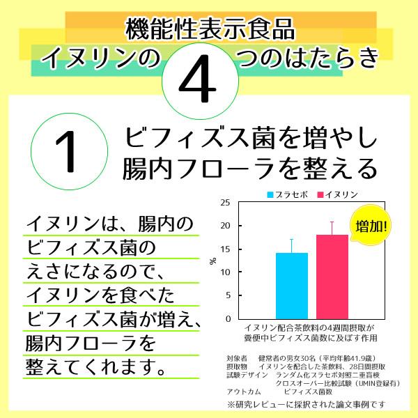 機能性表示食品 イヌリン 500g 水溶性食物繊維 メール便 送料無料 お通じ改善 腸内フローラ改良 整腸作用 中性脂肪対策 血糖値対策に！