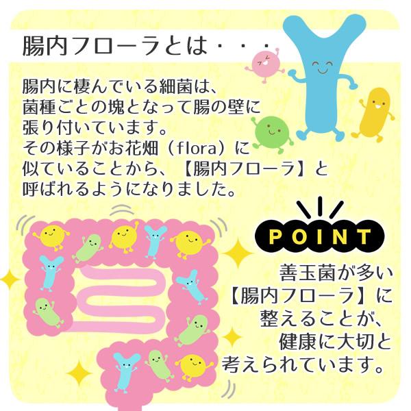 ヘルシーカンパニー 機能性表示食品 イヌリン 500g 水溶性食物繊維