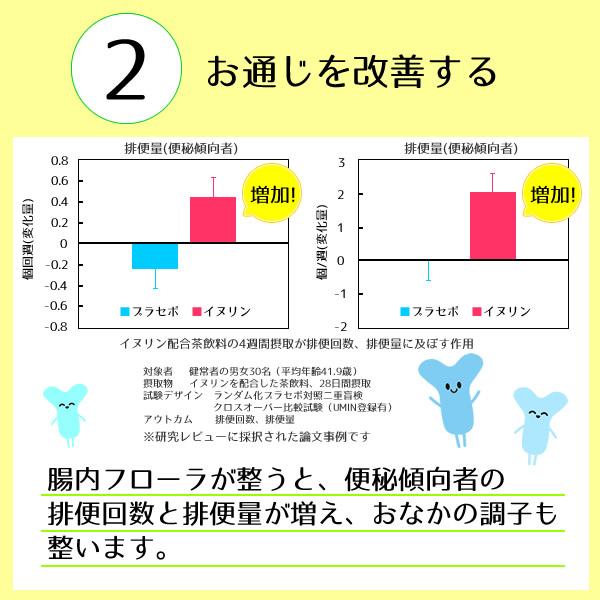 機能性表示食品 イヌリン 500g 水溶性食物繊維 メール便 送料無料 お通じ改善 腸内フローラ改良 整腸作用 中性脂肪対策 血糖値対策に！