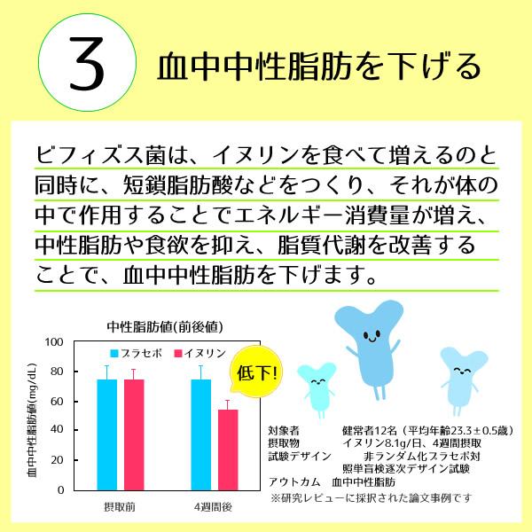 ヘルシーカンパニー 機能性表示食品 イヌリン 500g 水溶性食物繊維