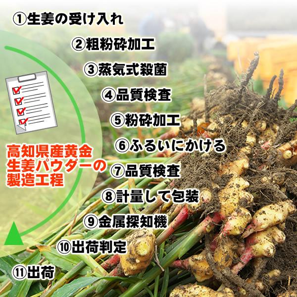 粉末しょうが 高知県産 黄金生姜パウダー80ｇ ウルトラ生姜 殺菌蒸し工程 国産 ジンジャー メール便送料無料 原料変更しました | ヘルシーカンパニー | 07