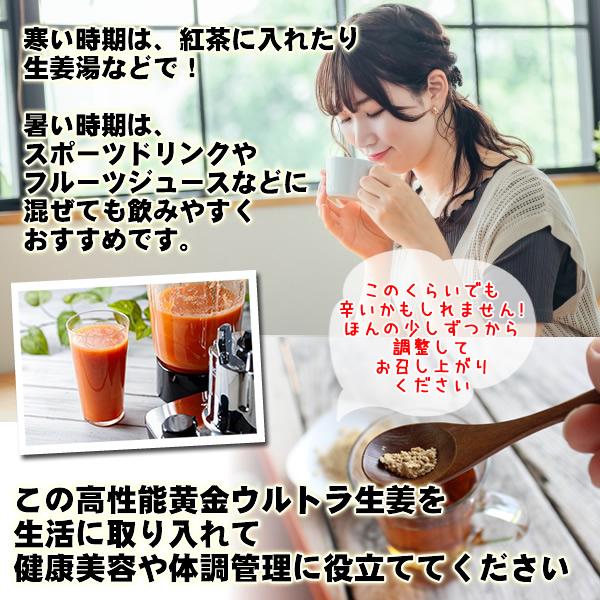 粉末しょうが 高知県産 黄金生姜パウダー80ｇ ウルトラ生姜 殺菌蒸し工程 国産 ジンジャー メール便送料無料 原料変更しました | ヘルシーカンパニー | 08