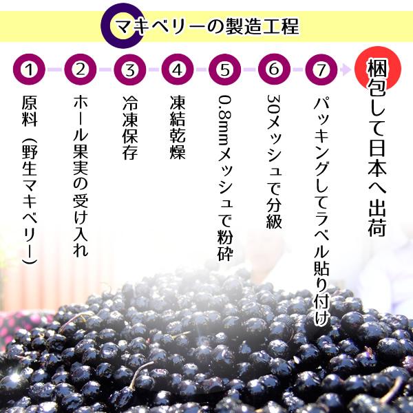 ヘルシーカンパニー マキベリー パウダー 100g 有機栽培 オーガニック