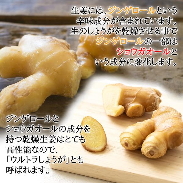 ヘルシーカンパニー オーガニック 生姜 パウダー100g 有機栽培 ヘルシーカンパニー オーガニック 生姜 パウダー100g 有機栽培