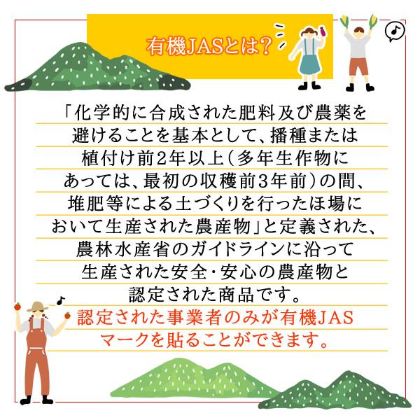 オーガニック 生姜 パウダー100ｇ 有機栽培 無添加 しょうが 粉末 メール便 送料無料｜healthy-c｜08