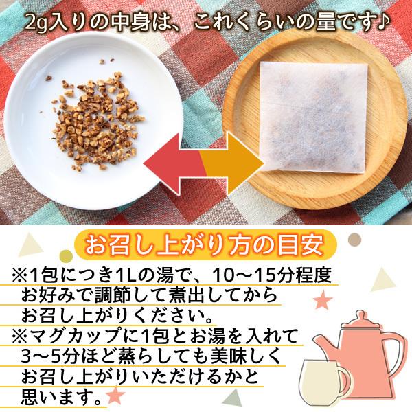 長野県産 菊いも茶 2g×30pc 菊芋茶 国産 イヌリン こだわり焙煎の美味しい健康茶 メール便 送料無料 | ヘルシーカンパニー | 08