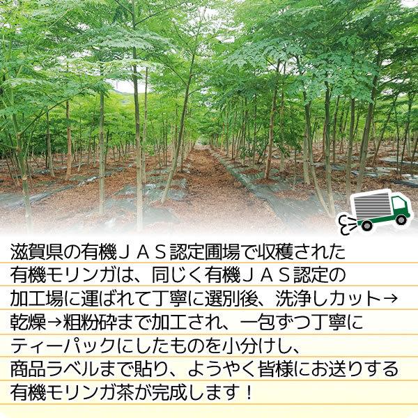 滋賀県産 有機モリンガ茶 2g×30包 オーガニック 国産 メール便 送料無料 セール特売品｜healthy-c｜06