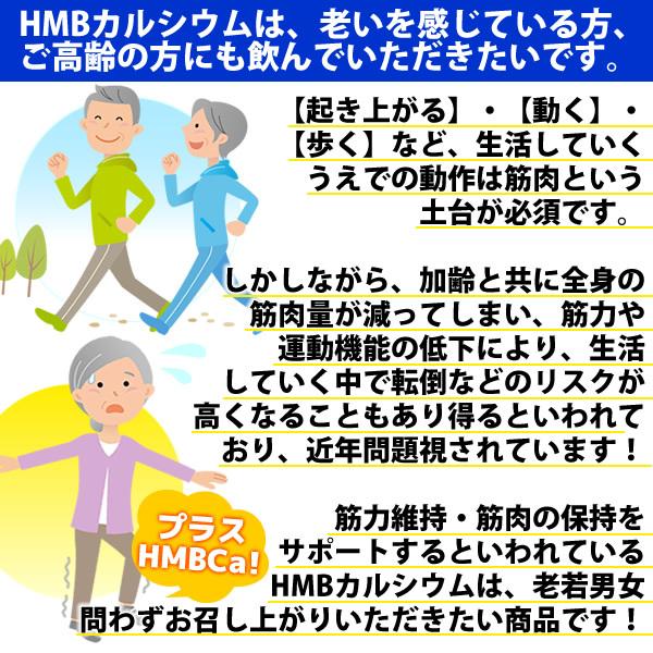 ヘルシーカンパニー HMB サプリ 300mg×300粒 純度83.3％ HMBカルシウム