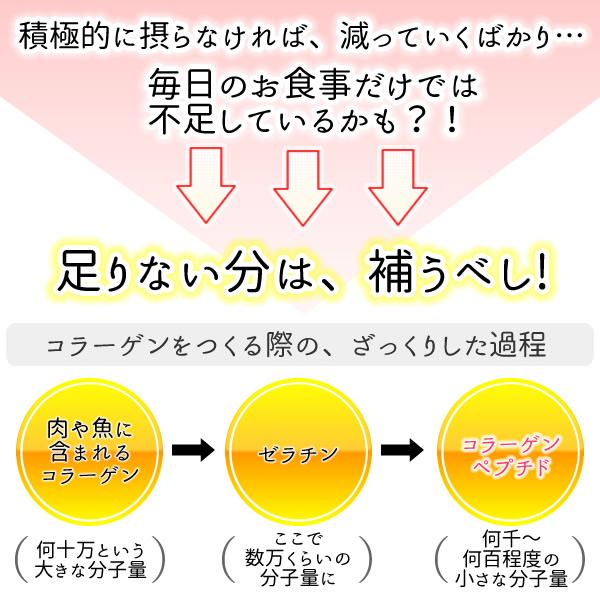 コラーゲン 1kg コラーゲンペプチド100% 送料無料 低分子で高品質な原料に変更致しました。｜healthy-c｜04