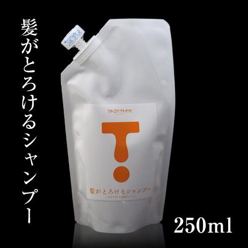 髪がとろけるシャンプー 250ml アレラ販売 Ear 024 ヘルシーグッド Yahoo 店 通販 Yahoo ショッピング