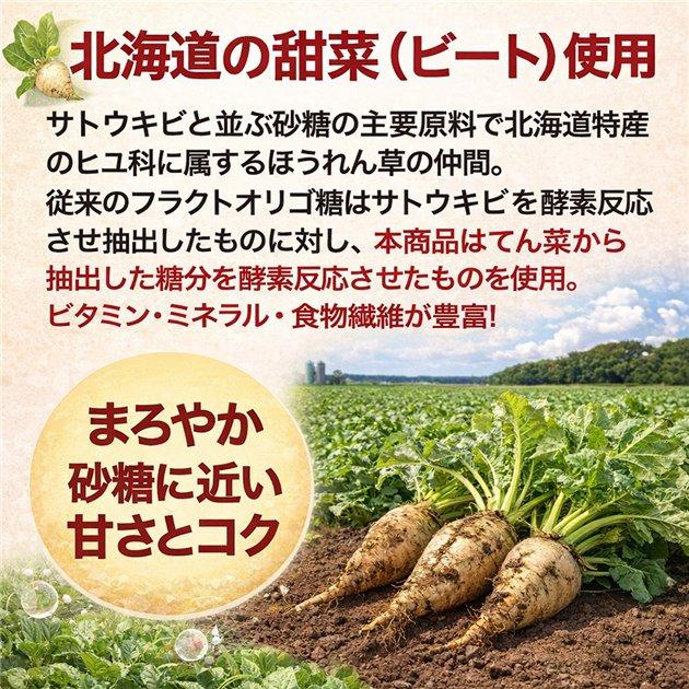 保阪流 フラクトオリゴ糖 乳酸菌・ビフィズス菌PLUS プレーン 500g×4本