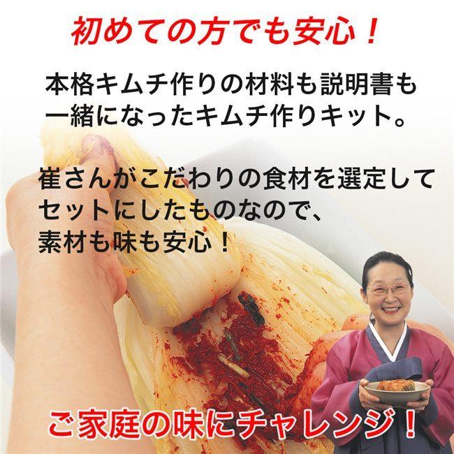 崔(チェ)さんのご自宅でつくる 本格キムチ手作りキット [乳酸菌発酵
