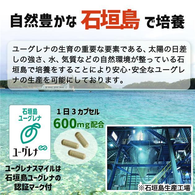 エディケア 1箱(180粒)と石垣島のユーグレナ 2箱(120粒)のセット ユーグレナ ユーグレナのちから / 342mg×120粒 : ビンゴケアストア