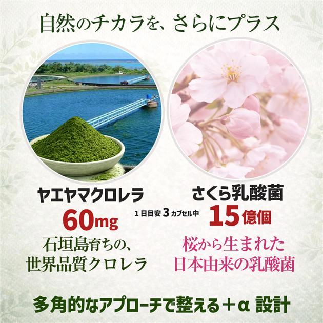 ユーグレナスマイルα 90カプセル - ココカラダ [石垣島ユーグレナ