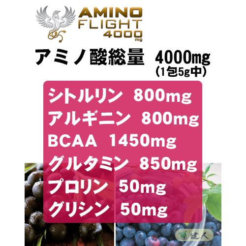 アミノフライト4000mg (AMINO FLIGHT) 5g×50本入 - ZERO BASE 