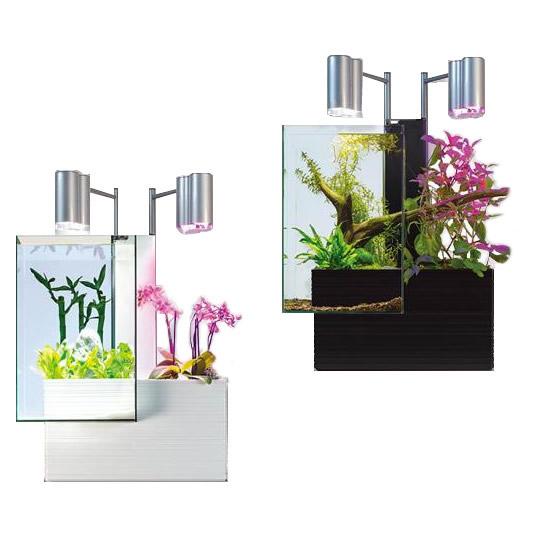 魚と植物がセットで楽しめる 魚と植物がセットで楽しめる 家庭用アクアポニックス 魚と植物がセットで楽しめる 家庭用アクアポニックス Brio35 ブリオ 60hz地域用 西日本 60hz地域用 西日本 水槽 ヘルシーリビング 純正卸値 の