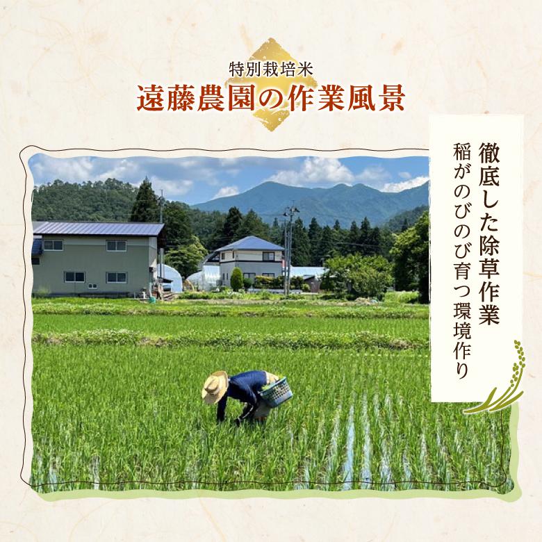 玄米 つや姫 特別栽培米 2kg 5kg 令和7年産 金賞 特別栽培米 農家のお米 お米 おこめ 米 こめ コメ 山形 高畠町 美味しいコメ 送料無料_9
