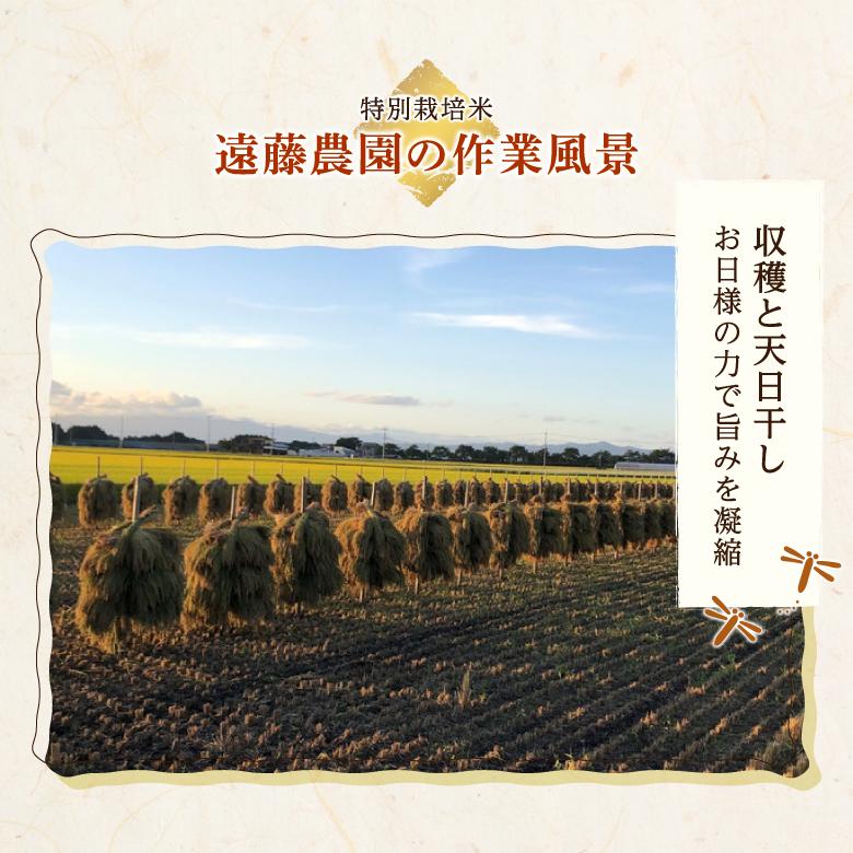 玄米 つや姫 特別栽培米 2kg 5kg 令和7年産 金賞 特別栽培米 農家のお米 お米 おこめ 米 こめ コメ 山形 高畠町 美味しいコメ 送料無料_10