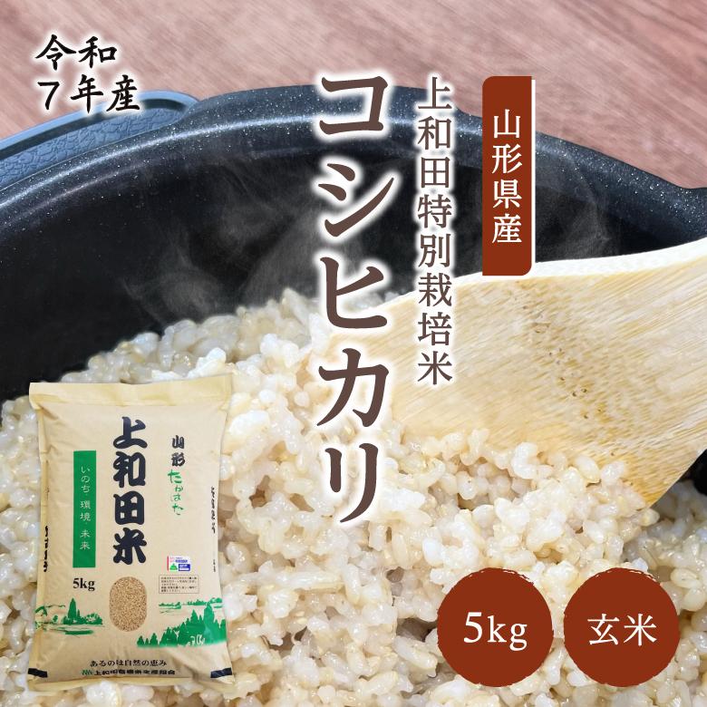 コシヒカリ 精米 5kg 山形県産　減農薬 コシヒカリ 米 5kg 減農薬 山形県産 お米 玄米 令和7年産 特A米 特別