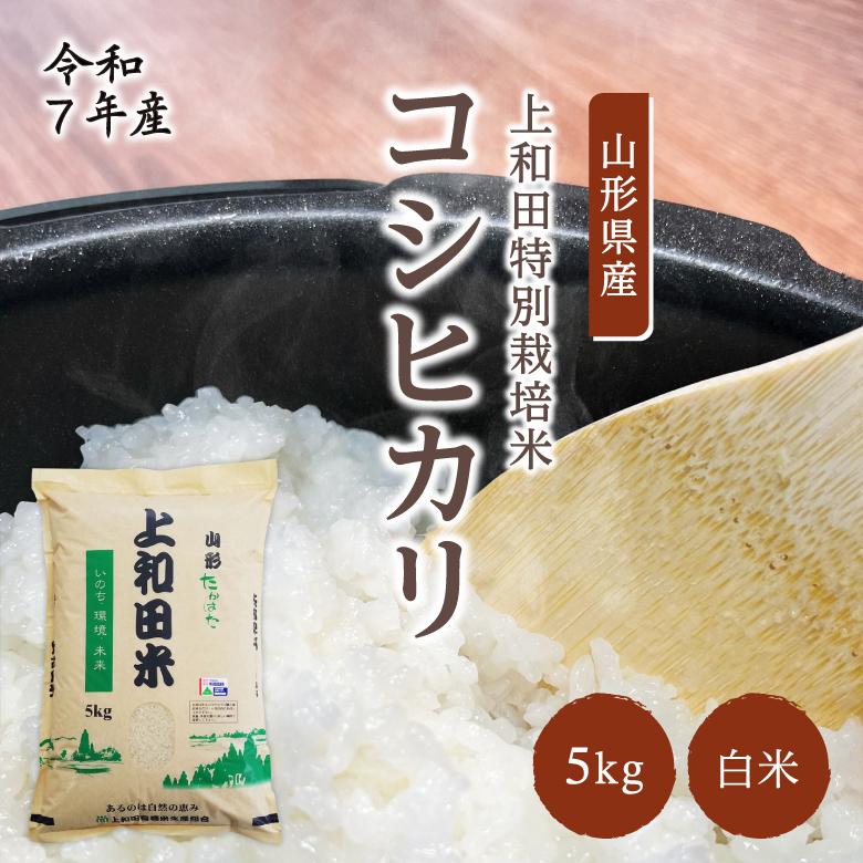 コシヒカリ 米 5kg 減農薬 山形県産 お米 白米 令和7年産 特A米 特別 