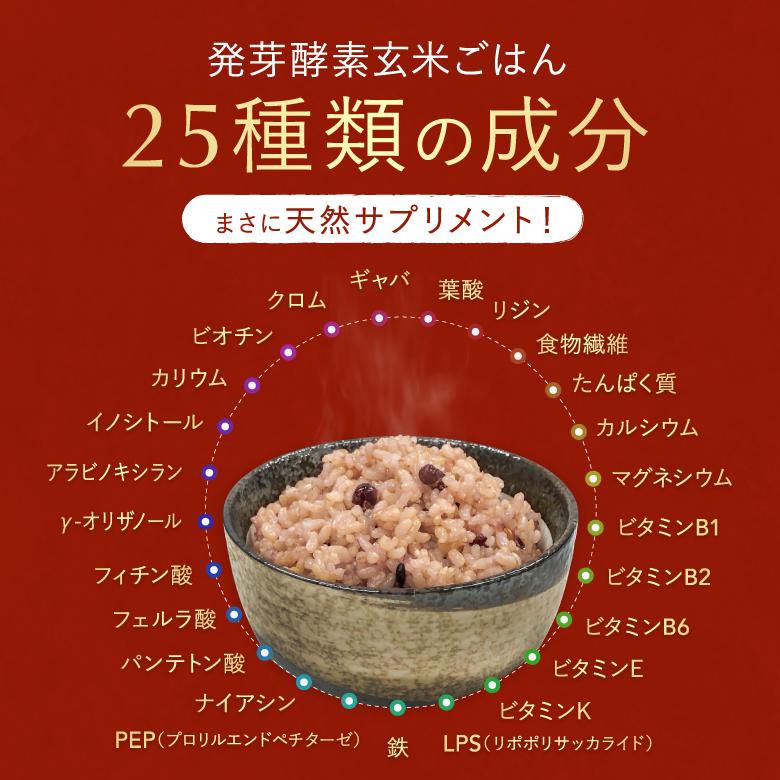CUCKOO 炊飯器 圧力名人 酵素玄米 6合 発芽 玄米 cuckoo 公式 CUCKOO 炊飯器 圧力名人 酵素玄米 6合 発芽 玄米 cuckoo 公式