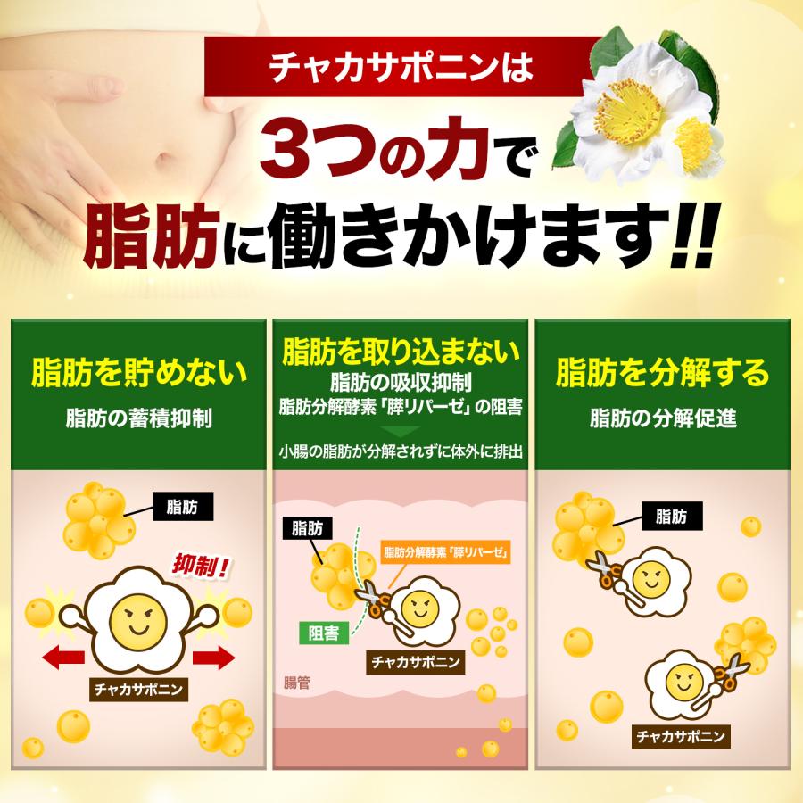 ダイエットサプリ 体重 体脂肪 中性脂肪 内臓脂肪 皮下脂肪 お腹の脂肪