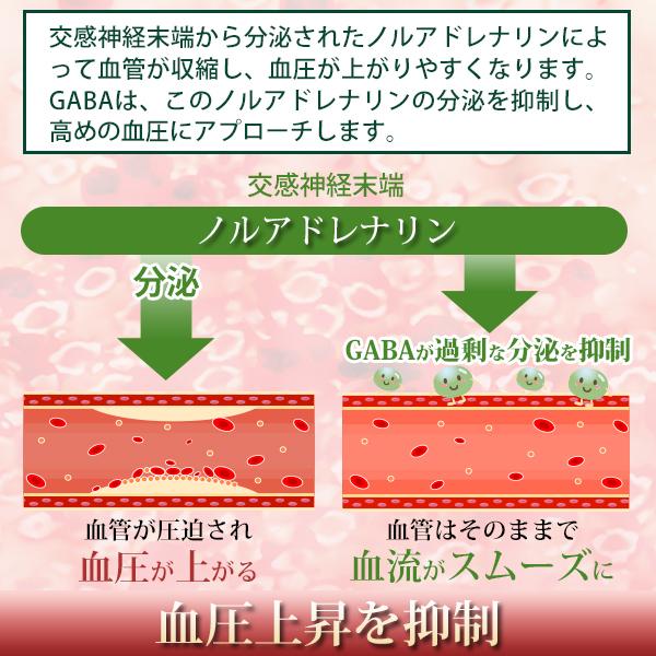 高めの 血圧を下げる 血圧ケアタブレット 血圧対策 機能性表示食品 サプリ GABA ギャバ  血圧サプリ サーデンペプチド ヒハツ 田七人参 30日分 サプリメント｜healthy-plus｜06