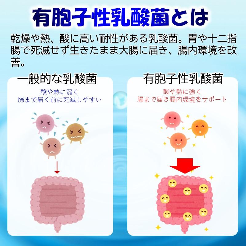 乳酸菌サプリ 腸活 お通じ 便秘 便通改善ミデール 30日分