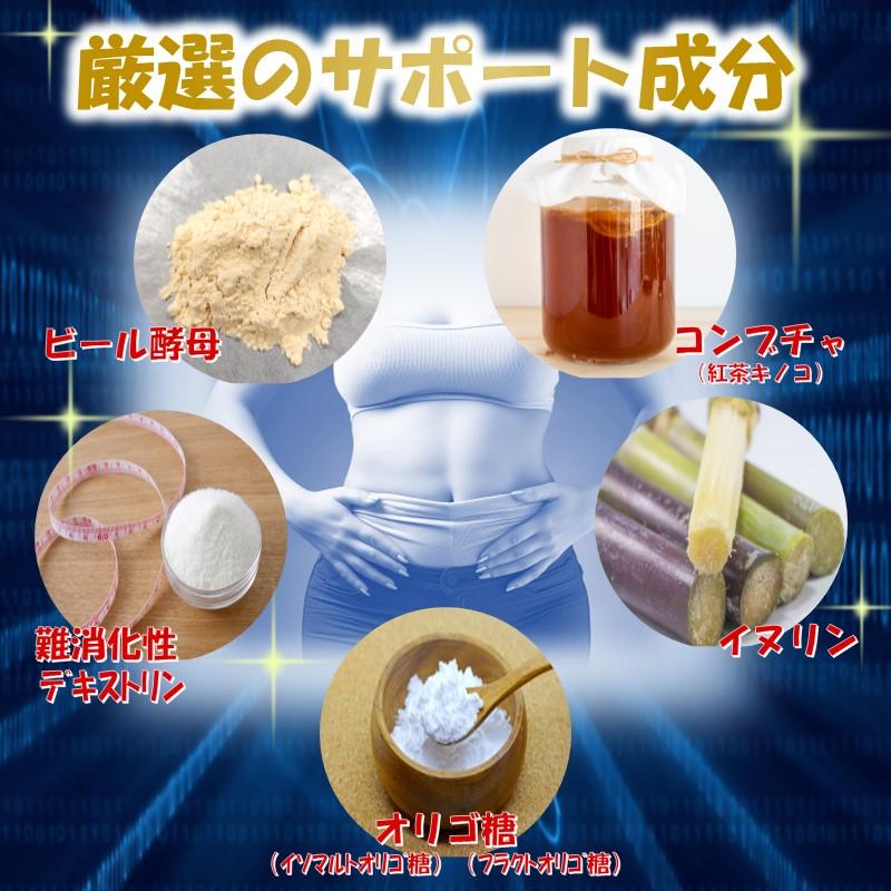 乳酸菌サプリ 腸活 お通じ 便秘 便通改善ミデール 30日分 ビフィズス菌 善玉菌 腸活 腸内フローラ 有胞子性乳酸菌 爆買 |  | 04