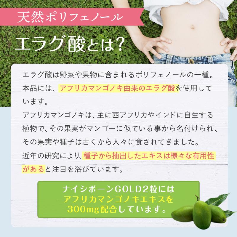 ダイエットサプリ 体重 体脂肪 中性脂肪 内臓脂肪 ウエスト周囲径の減少をサポート ナイシボーンGOLD エラグ酸 機能性表示食品 爆買 |  | 08