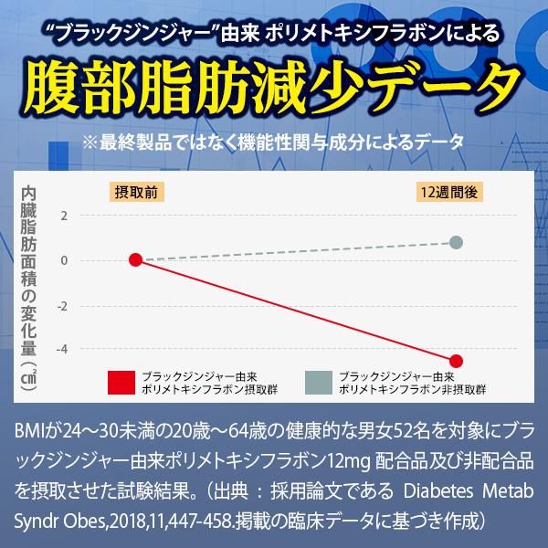 おなかの脂肪 内臓脂肪 皮下脂肪を減らす ブラックジンジャー サプリメント 機能性表示食品 ナイシボーンEX 30日分 黒生姜 ヒハツ カルニチン カプサイシン｜healthy-plus｜10