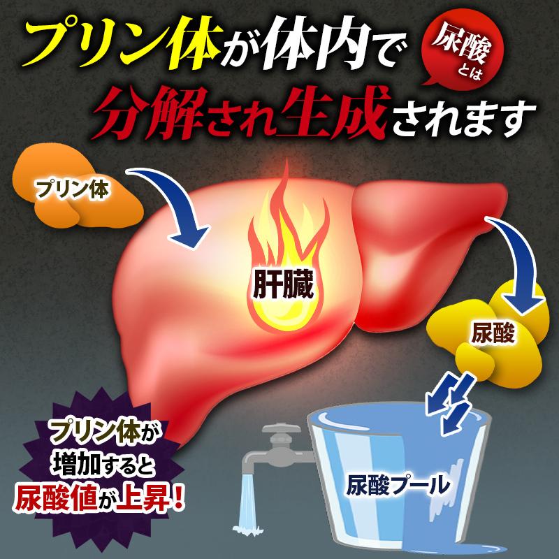 尿酸値を下げる サプリ 尿酸メンテA 尿酸値 ルテオリン 田七人参 アンセリン サプリ ［機能性表示食品］ サプリメント 30日分 プリン体 尿酸 尿酸値サプリ 爆買 |  | 05