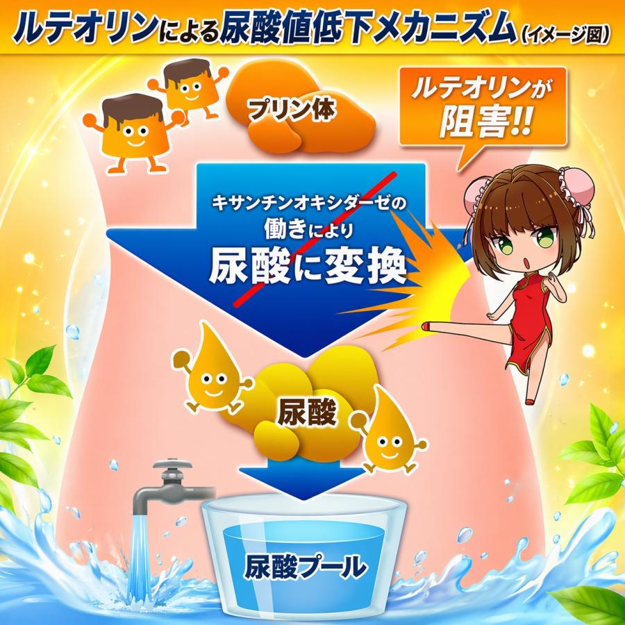 尿酸値を下げる サプリ 尿酸メンテA 尿酸値 ルテオリン 田七人参 アンセリン サプリ ［機能性表示食品］ サプリメント 30日分 プリン体 尿酸 尿酸値サプリ 爆買 |  | 04