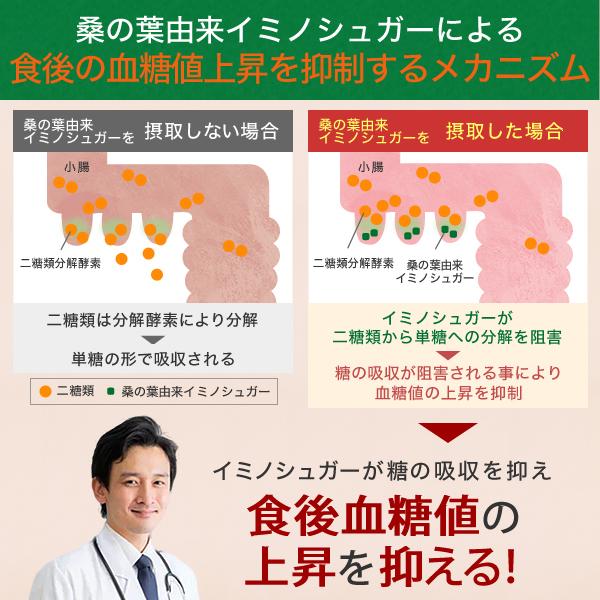 血糖値 血圧 ストレス 疲労感 サプリメント 機能性表示食品 トリプルケアプレミアム 桑の葉 GABA 田七人参 サラシア ギムネマ イヌリン サプリ 30日分｜healthy-plus｜03