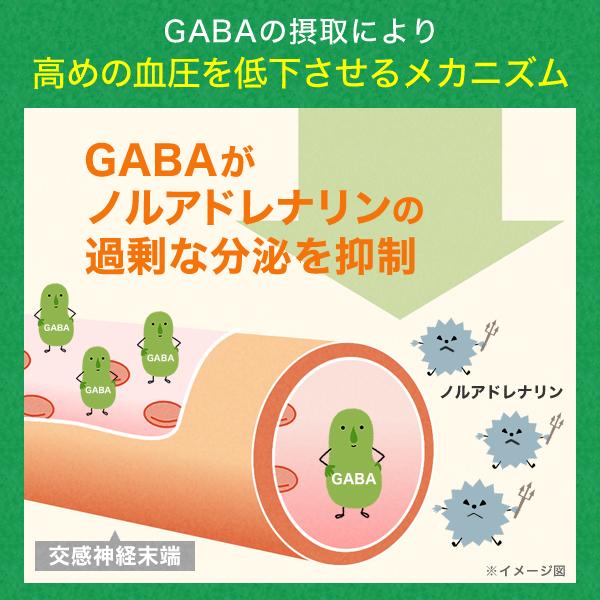 血糖値 血圧 ストレス 疲労感 サプリメント 機能性表示食品 トリプルケアプレミアム 桑の葉 GABA 田七人参 サラシア ギムネマ イヌリン サプリ 30日分｜healthy-plus｜05