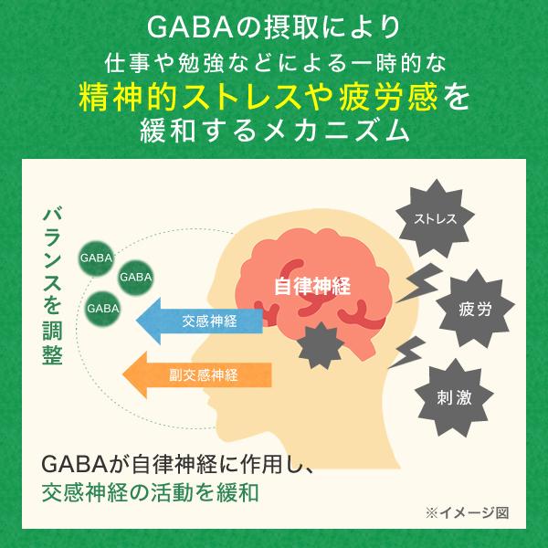 血糖値 血圧 ストレス 疲労感 サプリメント 機能性表示食品 トリプルケアプレミアム 桑の葉 GABA 田七人参 サラシア ギムネマ イヌリン サプリ 30日分｜healthy-plus｜07