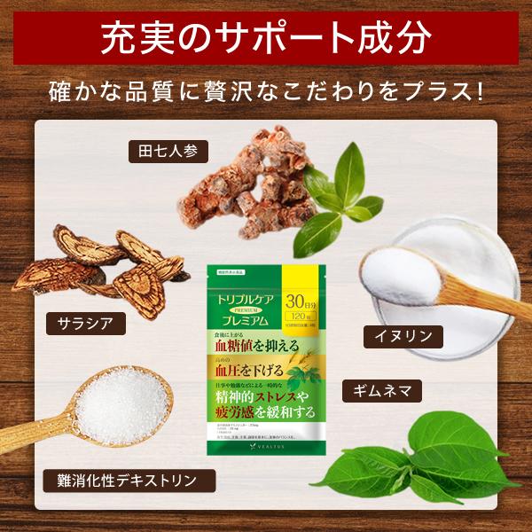 血糖値 血圧 ストレス 疲労感 サプリメント 機能性表示食品 トリプルケアプレミアム 桑の葉 GABA 田七人参 サラシア ギムネマ イヌリン サプリ 30日分｜healthy-plus｜10