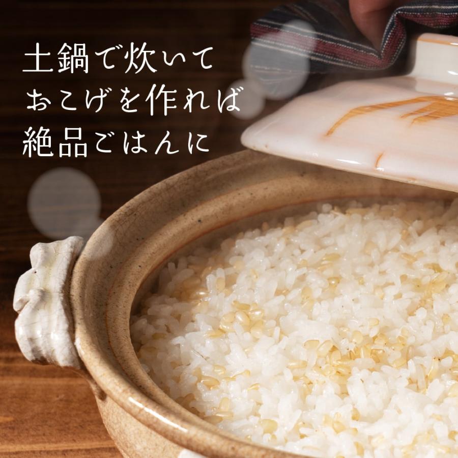 国産 発芽玄米 900g(450g×2袋) 古代米 雑穀 雑穀米 ダイエット 国産 発芽玄米 900g(450g×2袋) 古代米 雑穀 雑穀米 ダイエット