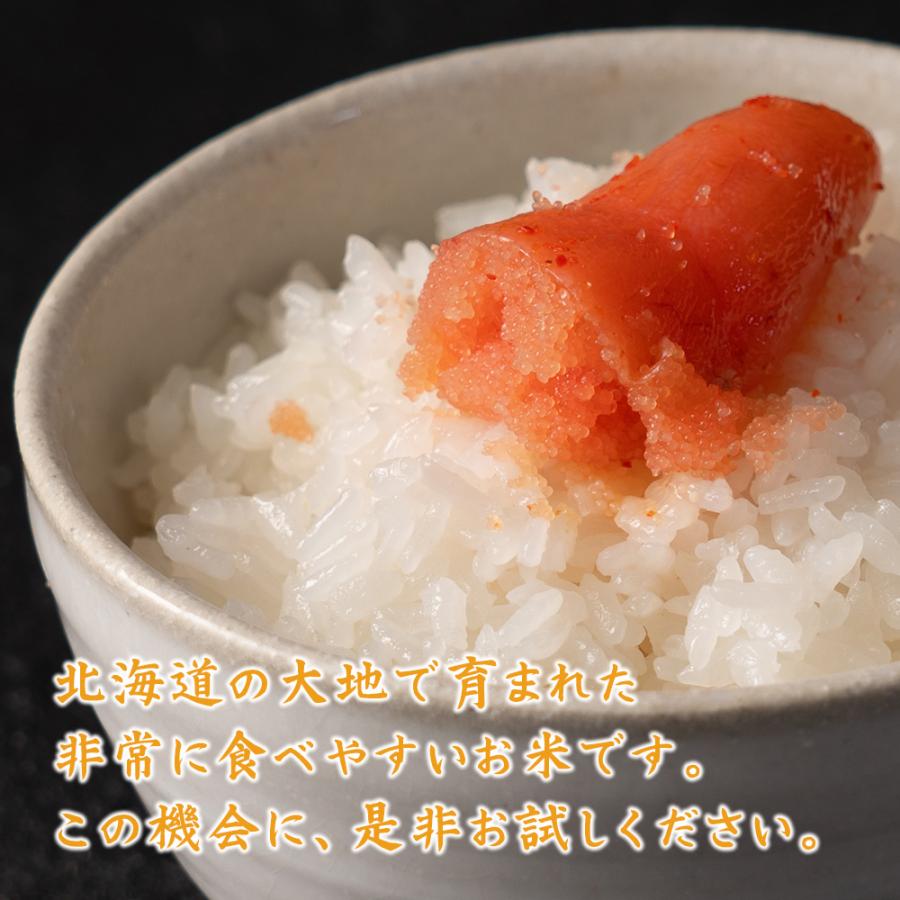 白米】 令和7年産 北海道産 ななつぼし 10kg(5kg×2袋) 米 単一原料米