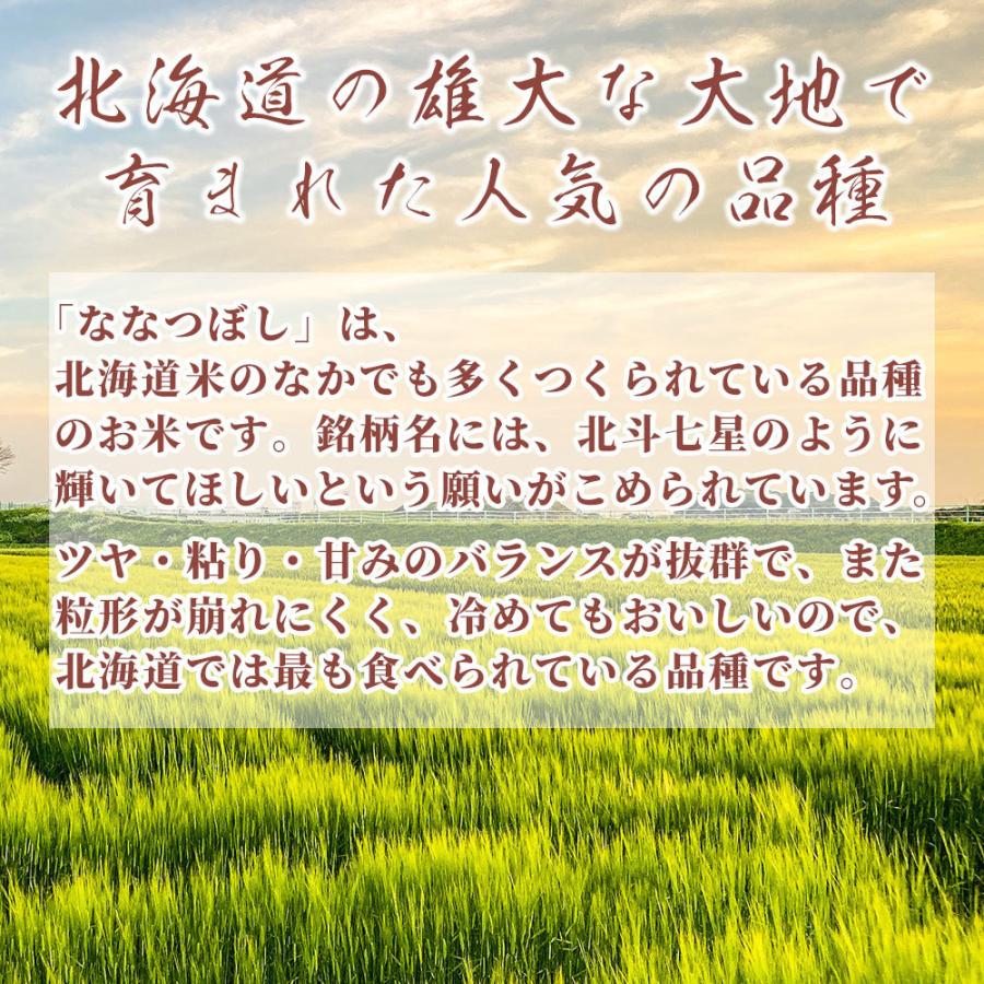 セール 【無洗米】 令和7年産 北海道産 ななつぼし 20kg(5kg×4袋) 米