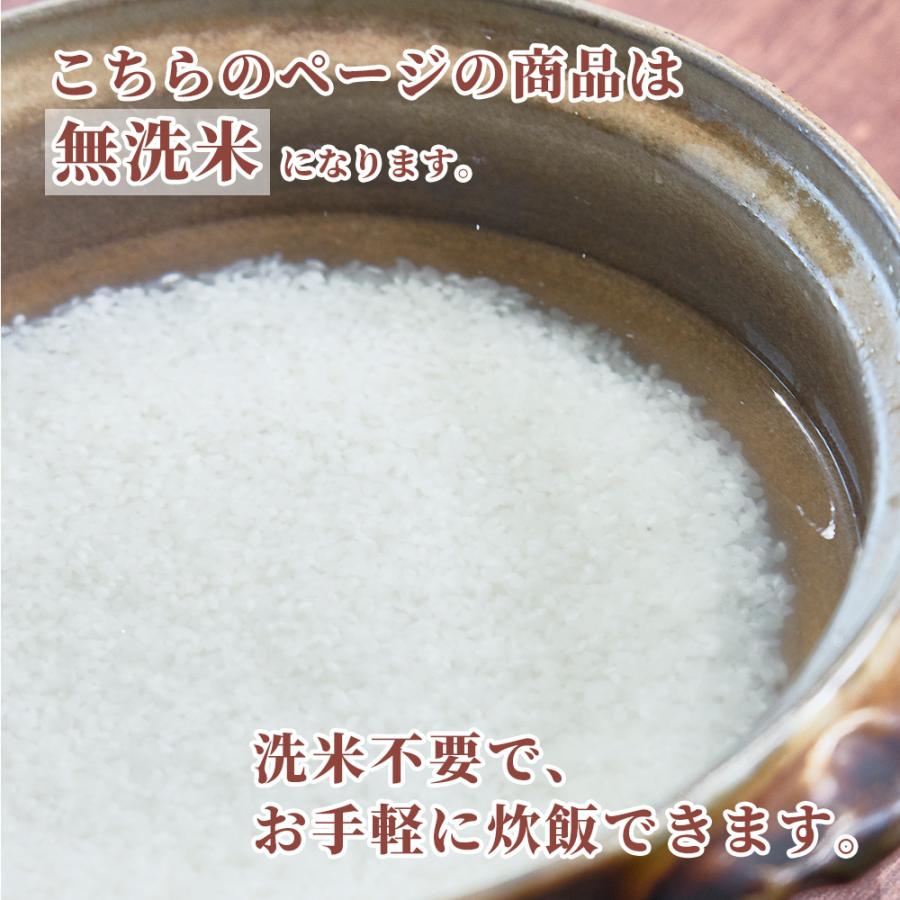 セール 【無洗米】 令和7年産 北海道産 ななつぼし 20kg(5kg×4袋) 米