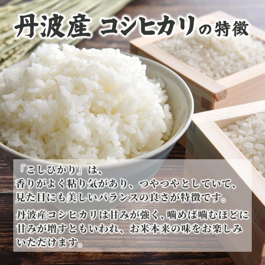 白米】令和6年産 丹波産 コシヒカリ 90kg(5kg×18袋) 単一原料米 