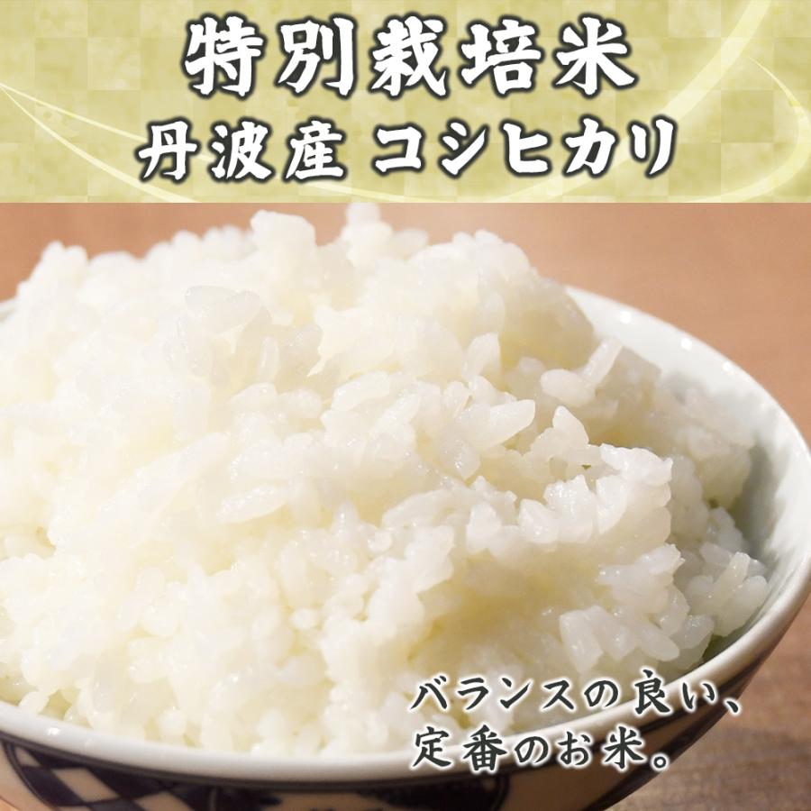 セール 【白米】令和7年産 特別栽培米 丹波産 コシヒカリ 20kg(5kg×4袋