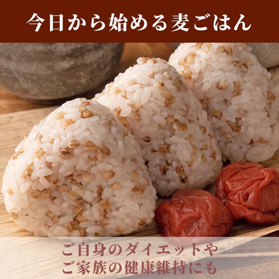 国産 もち麦 500g 無添加 無着色 雑穀 雑穀米 ダイエット 置き換え 食品 食物繊維 送料無料 ヘルシー スマイル Z B127 Hs Healthy Smile 通販 Yahoo ショッピング