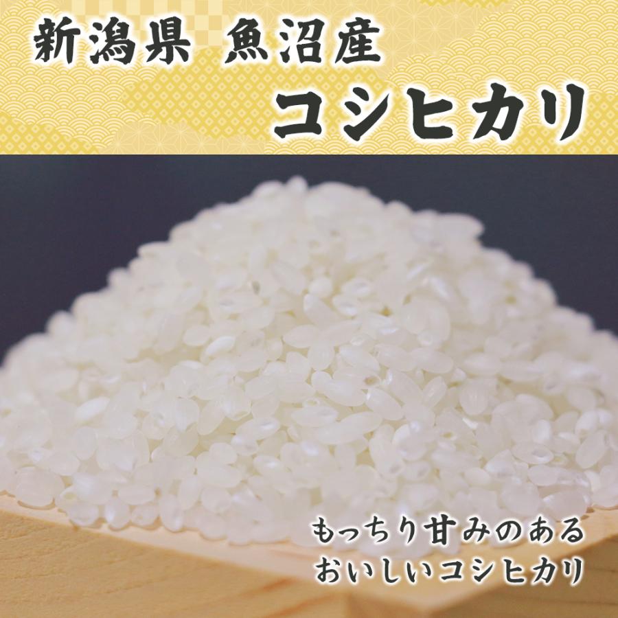 セール 【白米】 令和7年産 魚沼産 コシヒカリ 10kg(5kg×2袋) 国産