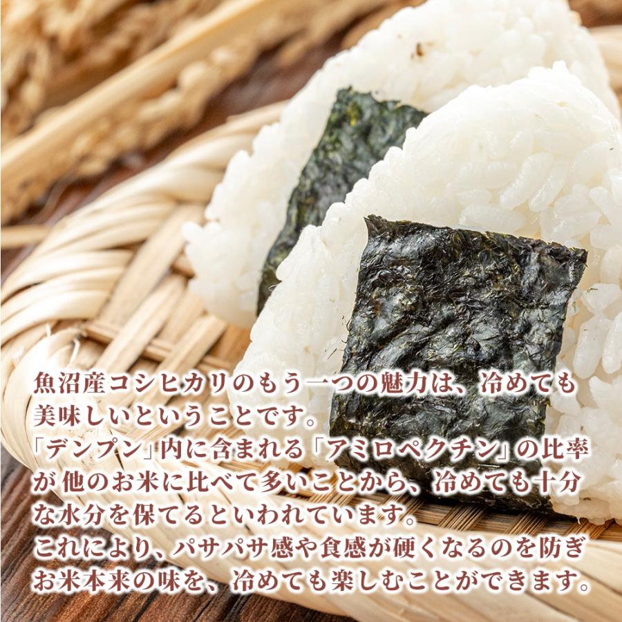 セール 【白米】 令和7年産 魚沼産 コシヒカリ 10kg(5kg×2袋) 国産